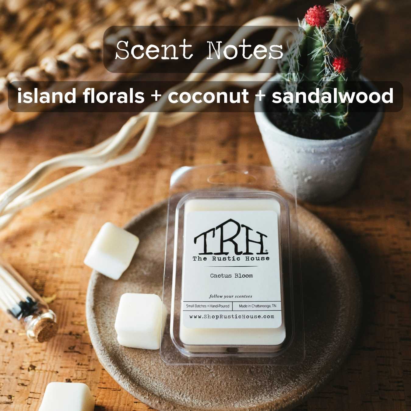 Cactus Bloom Wax Melt