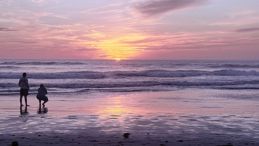 Say Yes and Follow Your Scentses: A Guide to Chasing Your Dreams