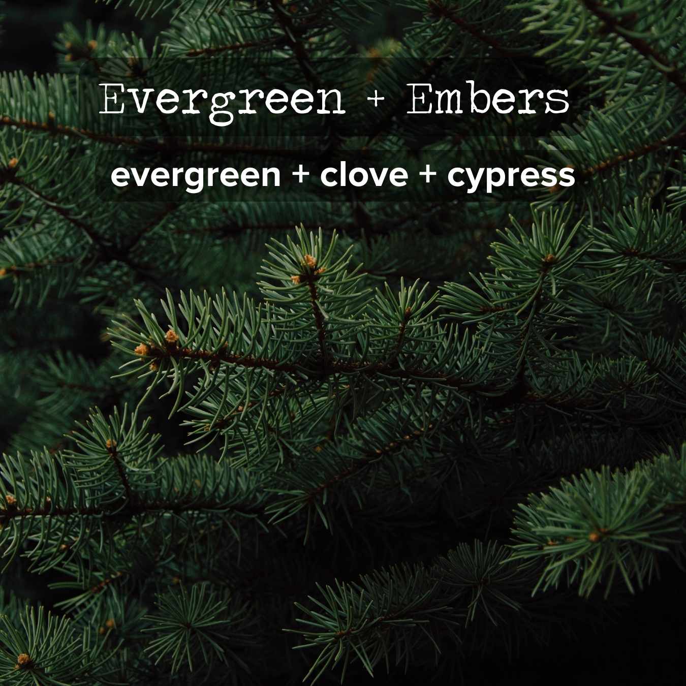 Bulk Ordering | Order 25+ 4oz. Candles and Save!