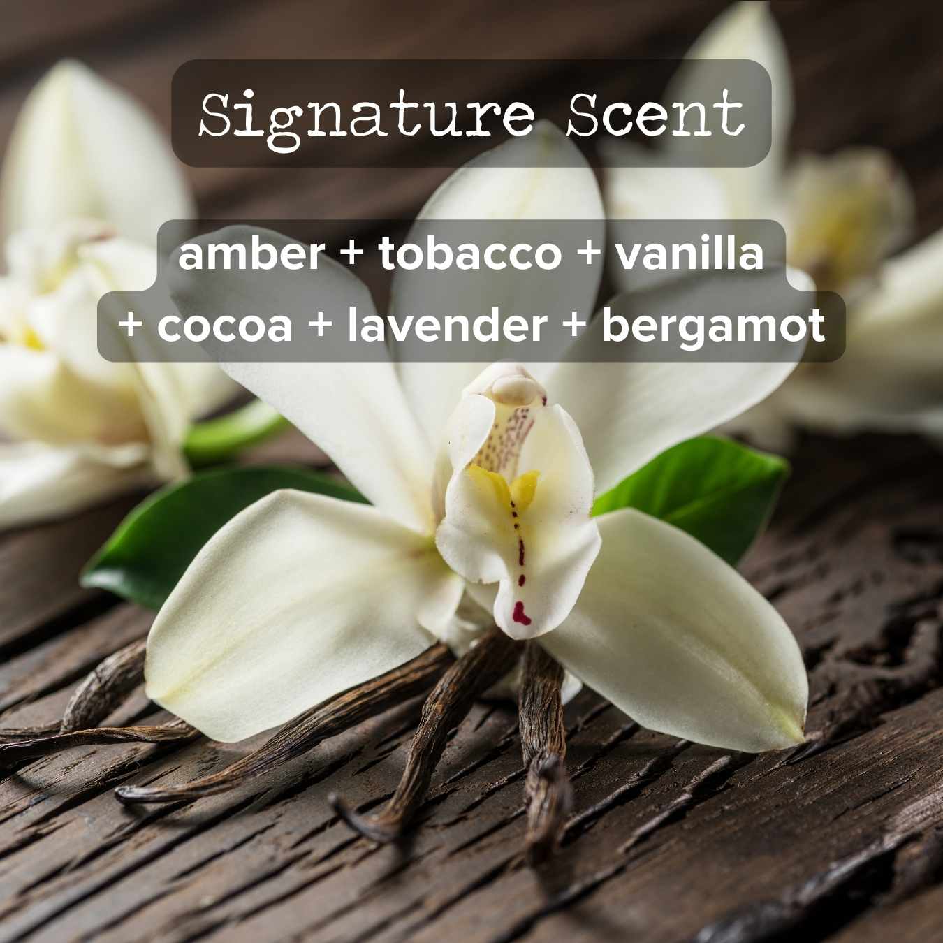 Bulk Ordering | Order 25+ 4oz. Candles and Save!