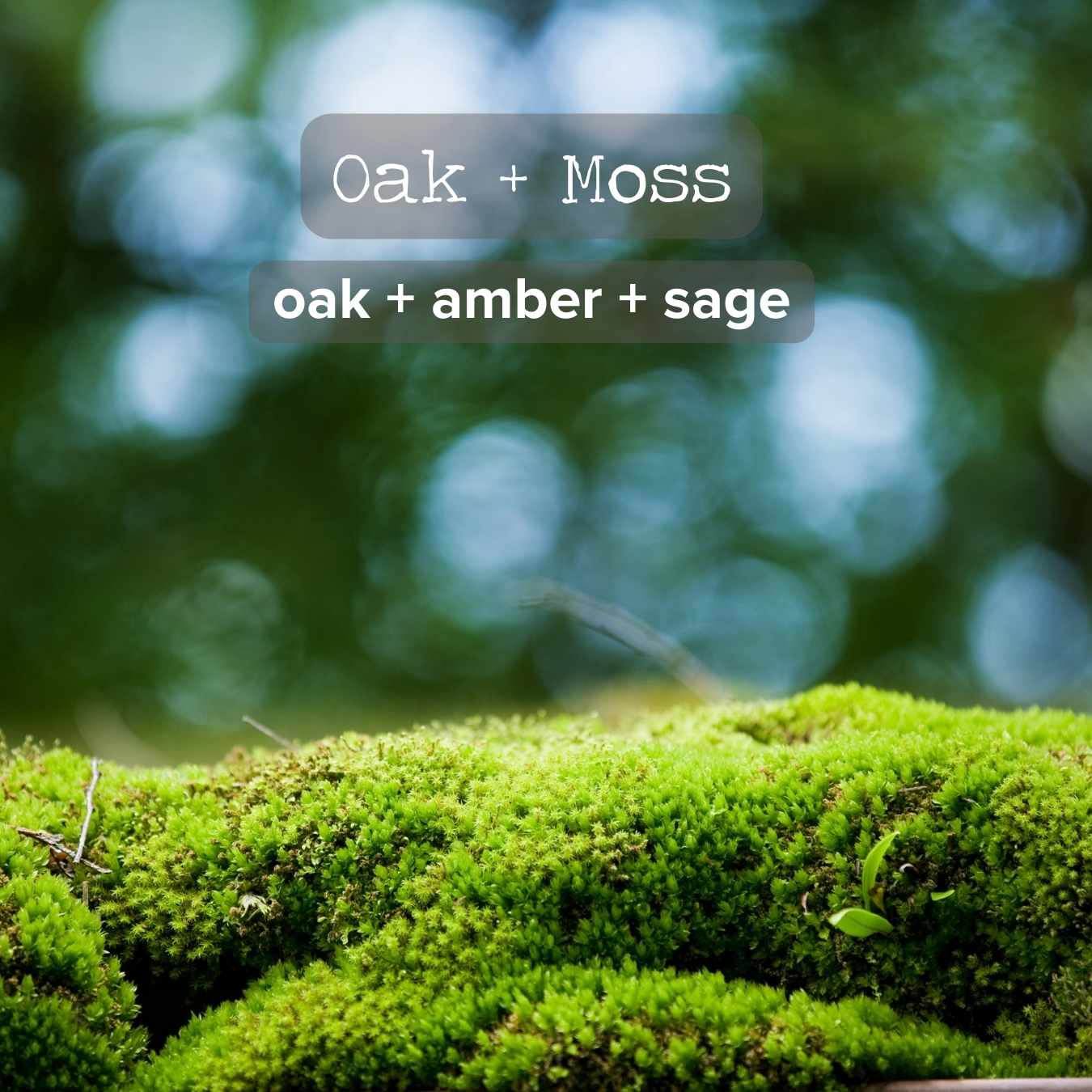 Bulk Ordering | Order 25+ 4oz. Candles and Save!