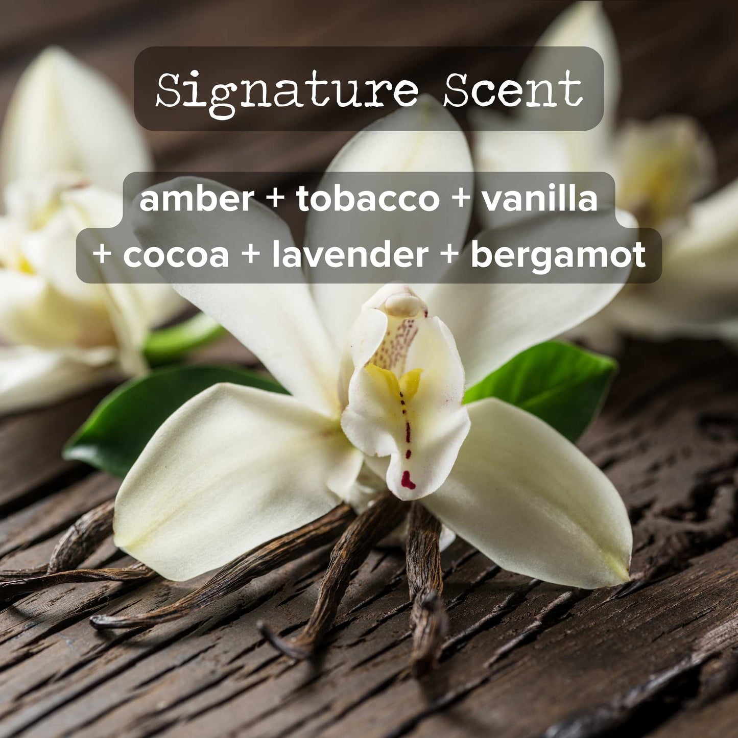 Bulk Ordering | Order 25+ 8oz Candles and Save!