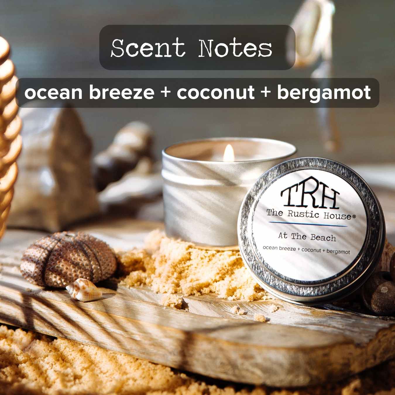 At the Beach Travel Tin