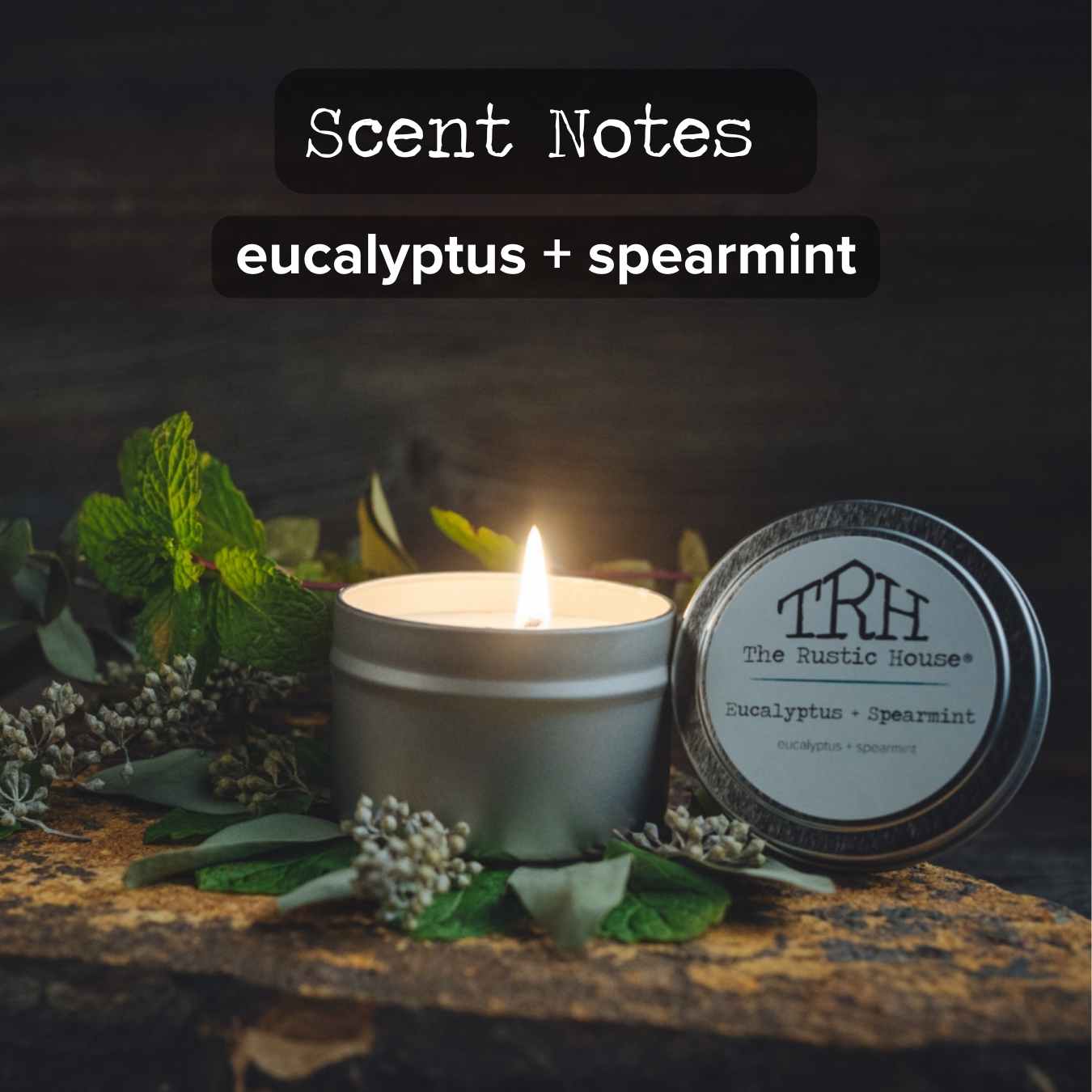 Eucalyptus + Spearmint Travel Tin