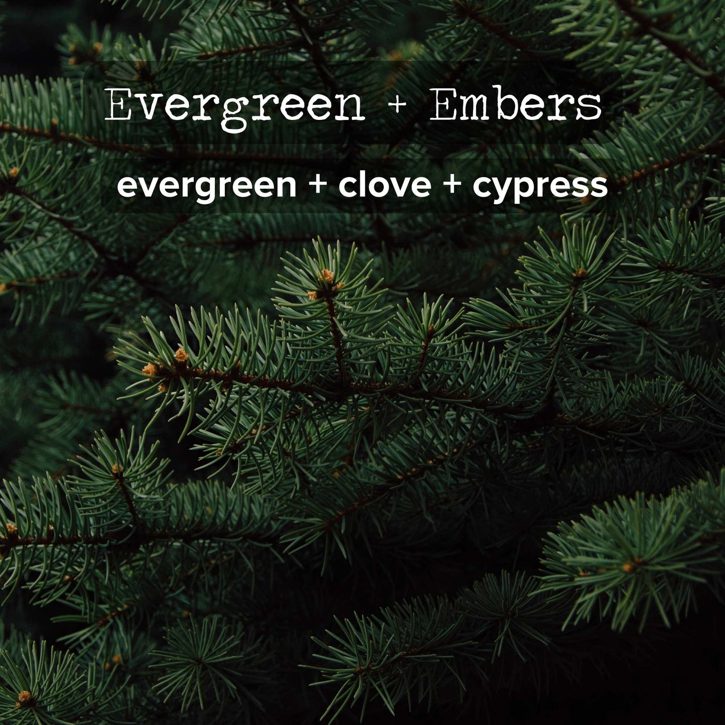 Bulk Ordering | Order 25+ 8oz Candles and Save!