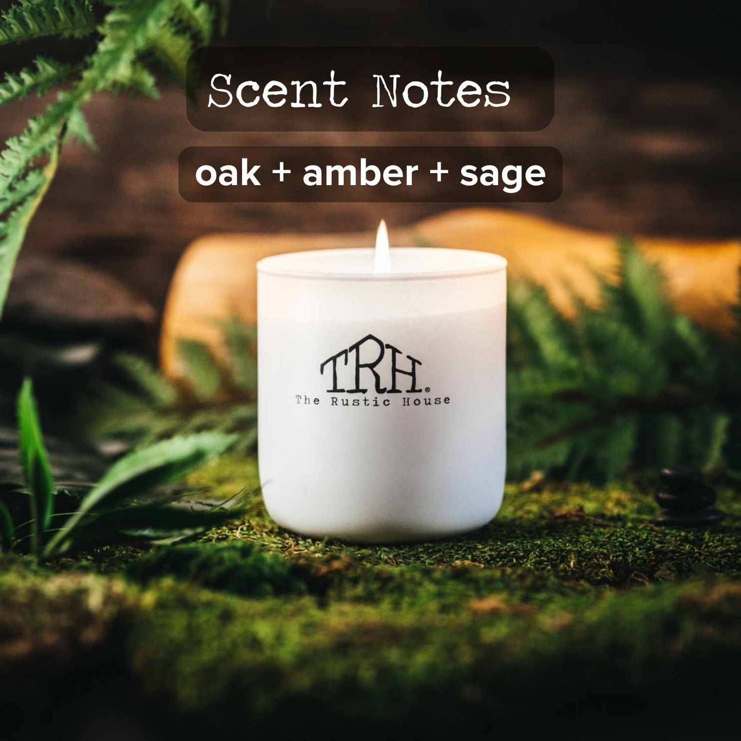 Oak + Moss Candle