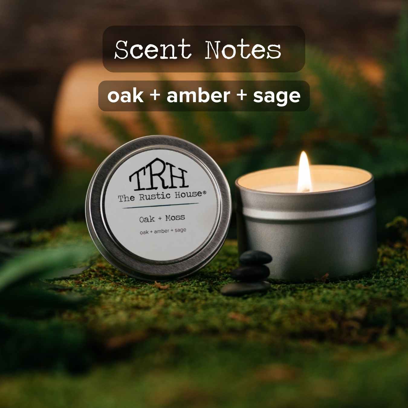 Oak + Moss Travel Tin