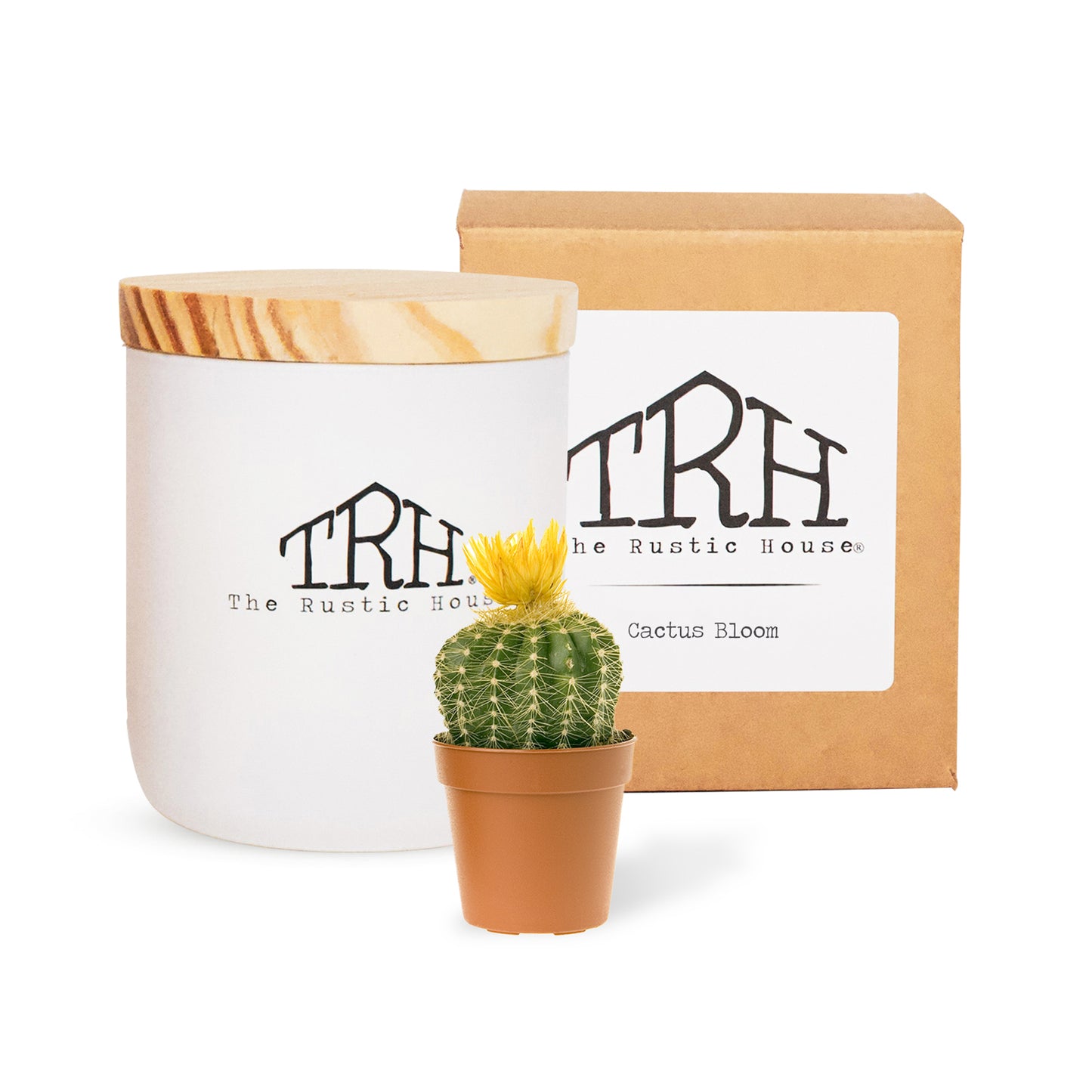 Cactus Bloom Candle