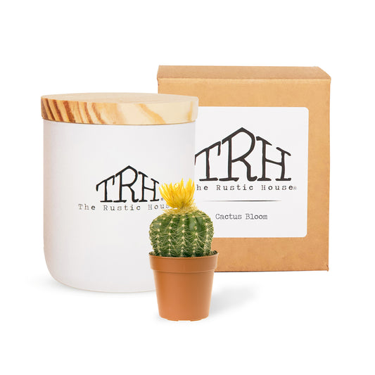 Cactus Bloom Candle